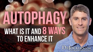 Autophagy What is it and 8 Ways to Enhance It [upl. by Umont]