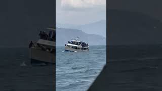 Goa boat accident 51024 shorts shortsfeed viral [upl. by Ader]