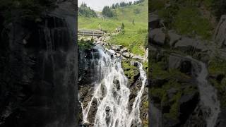 Mount Rainier Myrtle Falls youtubeshorts travel rainier [upl. by Airehs754]