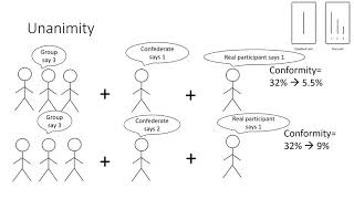 AQA A Level Psychology  Social Influence  Conformity Aschs Research [upl. by Matthus615]