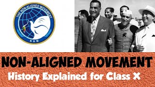 NonAligned Movement NAM  World History  ICSE Class X  Explained in English and Hindi [upl. by Asemaj]