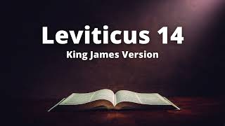 Leviticus 14  King James Version Audio Bible [upl. by Adnuhsor]