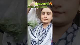 Lets Pluck Henna Leaves Today With Ammi🌿❤🫂🌸😍minivlogviralvideoshortvideohennashortsshortvlog [upl. by Arihsak]