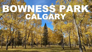 Calgary Alberta Canada  Bowness Park WALK [upl. by Cerellia]