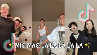 ✨MIO MAO LA LA LA LA LA✨ TIKTOK COMPILATION [upl. by Ennalorac592]