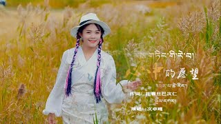 Tibetan new song 2024 ࿉ བོད་གཞས་གསར་པ་༢༠༢༤༼སེམས་གཏིང་གི་རེ་བ་།༽གཞས་མ། ཚེ་སྒྲོལ་དཀར། ࿉Tse Dolkar 2024 [upl. by Laith]