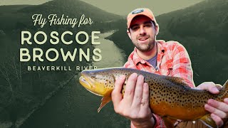 Fly Fishing For Roscoe Browns In The Beaverkill River  Higher Elevations Adventures [upl. by Assenov]