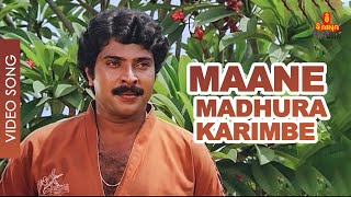 Maane Madhura Karimbe Video Song  Mammootty  Poornima  Yusufali Kecheri  Ilayaraja  Pinnilavu [upl. by Osgood]