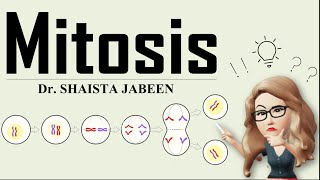 Mitosis I Cell Division I Complete Process of Mitosis I Learn How Your Cells Divide and Grow [upl. by Eeleak]