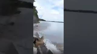 NO SUELTES EL TIMÓN amazing fishing shorts youtubeshorts memes humor reels [upl. by Nagah]