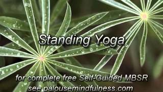 MBSR Standing Yoga Yoga 2 [upl. by Maudie]