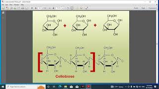 Pharmacognosy 1 lec 9 [upl. by Nodyarb]