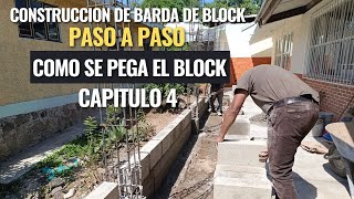 CONSTRUCCION DE BARDA DE BLOCK paso a paso CAPITULO 4 como se pega el block [upl. by Ttezzil605]