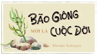 Sách nói Bão Giông Mới Là Cuộc Đời  Chương 1  Khenpo Sodargye [upl. by Timon664]