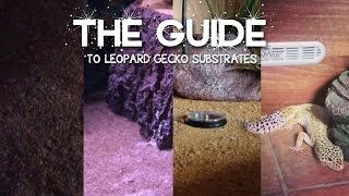 Complete Guide to Leopard Gecko Substrates [upl. by Iba]