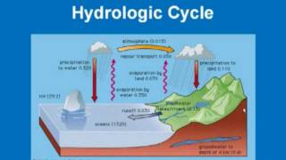 Limnology  Hydrologic Cycle [upl. by Notslah]