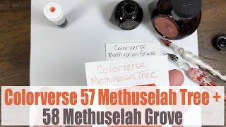 Colorverse 57 Methuselah Tree  58 Methuselah Grove writing samples [upl. by Suravaj234]