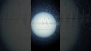 AS How to Calibrate an Eyepiece Graticule [upl. by Aisekal]