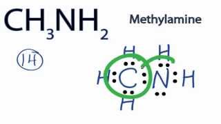 CH3NH2 Lewis Structure How to Draw the Lewis Structure for CH3NH2 [upl. by Aticnemrac]