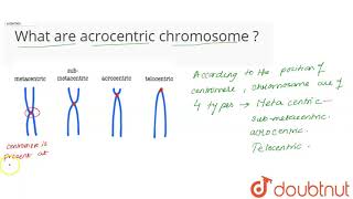 What are acrocentric chromosome [upl. by Godbeare150]