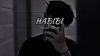 Habibi Slowed  Reverb [upl. by Sanchez]