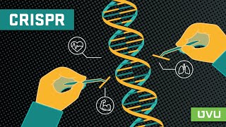 CRISPR Explained in 3 Minutes [upl. by Allemaj]