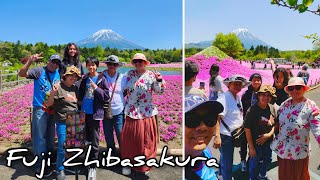 Fuji Shibazakura festival japan travel anime [upl. by Nnyrb]