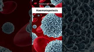 Haematopoiesis [upl. by Audre]