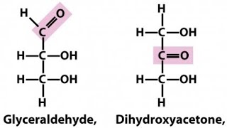 Trioses  Glyceraldehyde and Dihydroxy acetone  Monosaccharides [upl. by Cioffred52]