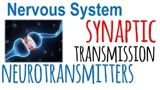 Synaptic transmission and neurotransmitters [upl. by Eduardo15]