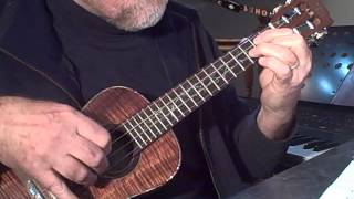 The Radetzky March  Solo Ukulele  Colin Tribe on LEHO [upl. by Schubert]