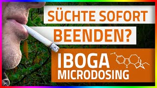 IBOGA Infovideo Microdosing Legalität Wirkung [upl. by Netsuj775]