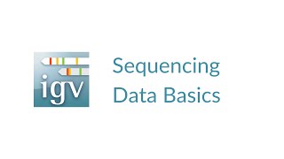 IGV  Sequencing Data Basics [upl. by Nitsrik]