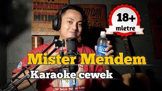 Mister mendem  karaoke tanpa vokal cewek dangdut koplo [upl. by Aldus]