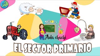 El Sector Primario  Educación Primaria  Aula chachi  Vídeos educativos para niños [upl. by Ragnar]