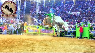 ¡¡TODAS LAS MONTAS DEL GALLITO DE MORELIA vs RANCHO LA MISION [upl. by Spain]