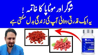 Berberine Benefits In Urdu Hindi  Berberine Kya Hota Hai  Dr Irfan Azeem [upl. by Akerdna]