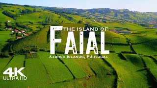 FAIAL Island 🇵🇹 Fayal Drone Aerial 4K 2024  Azores Açores Portugal [upl. by Ezitram396]