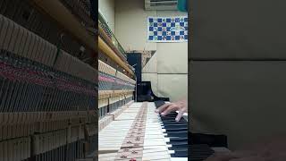 Mimpi Yang Sempurna 🎹 [upl. by Aleiram]