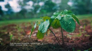 DeTodosParaTodos  Área de Sostenibilidad de Agroenergía ASA  Ecopetrol [upl. by Aizirk]