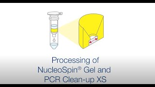 Processing of NucleoSpin Gel and PCR Cleanup XS [upl. by Koah]