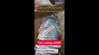 Fish cutting ASMR team Machine or manual [upl. by Ecnerol]