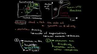 Population Ecology Theory [upl. by Jessy]