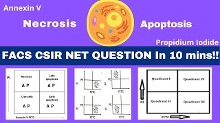 Flow cytometry data analysis FACS amp Apoptosis CSIR NET Life SciencesDec2019Dec2012Dec2014 [upl. by Dayiz]