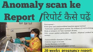 Anomaly scan Level 2 ultrasound Report रिपोर्ट कैसे पढ़ें Hindi Drhome [upl. by Eirised]