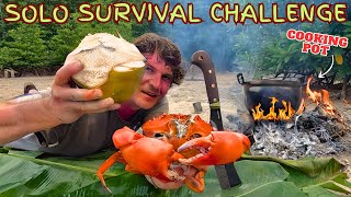 SOLO SURVIVAL CHALLENGE  Hunting Wild Food on a Tropical Island  No Food  Catch and Cook [upl. by Shaum809]