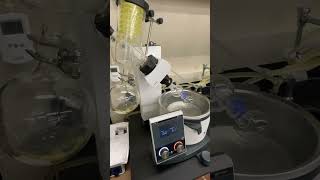 Rotary Evaporation of Phenacetin from Acetaminophen Synthesized by the Williamson Ether Synthesis [upl. by Dihahs569]