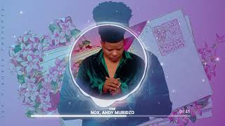 Nox ft Andy Muridzo  One [upl. by Nollek]