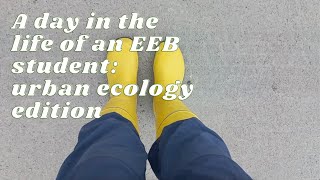 A day in the life of an Ecology and Evolutionary Biology student  University of Helsinki [upl. by Ssor387]