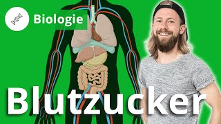 Blutzuckerspiegel Hunger Insulin und Diabetes – Biologie  Duden Learnattack [upl. by Denton204]